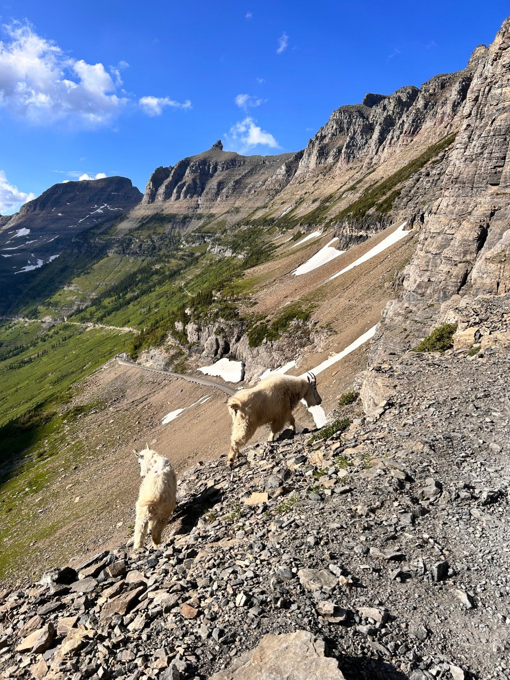 Hanger, Tummy Troubles, & Missing the Outdoors